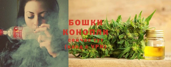 первитин Лагань