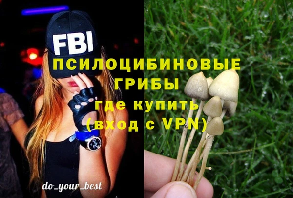 первитин Лагань