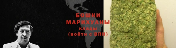 крисы Ладушкин