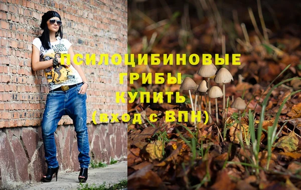 крисы Ладушкин