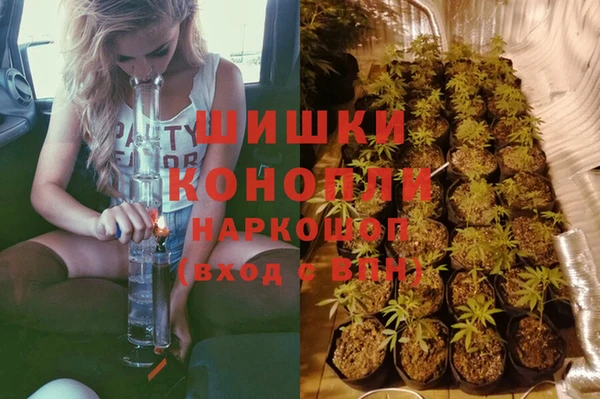 крисы Ладушкин